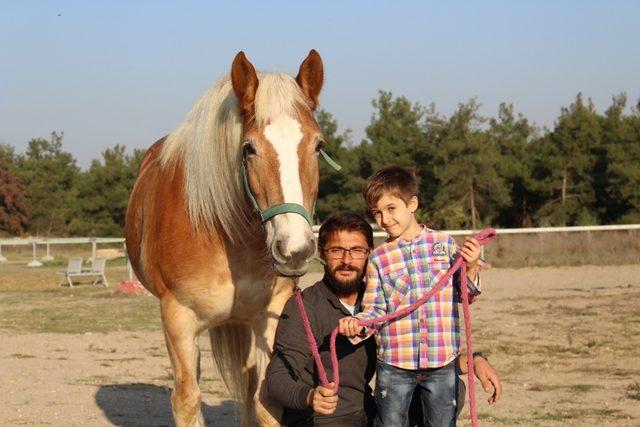 İzmir’in fayton atları ikinci baharlarını Bursa’da yaşıyor