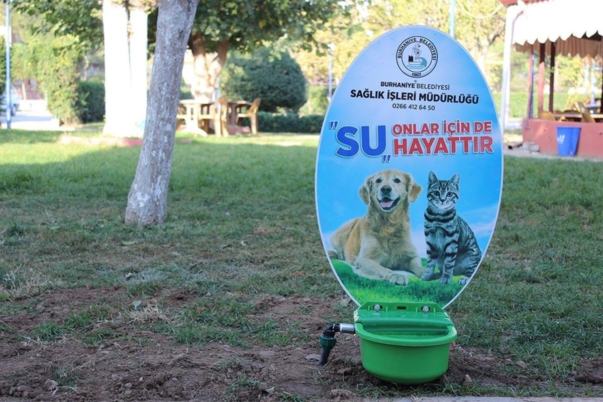 Burhaniye&rsquo;de sokak hayvanlarına suluk