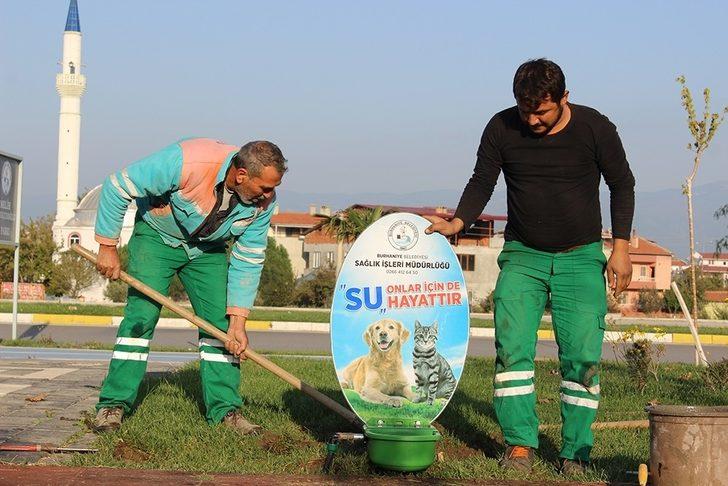 Burhaniye’de sokak hayvanlarına suluk G2