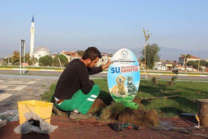 Burhaniye’de sokak hayvanlarına suluk G3