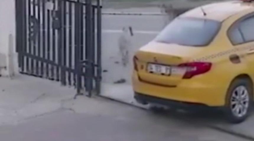 İstanbul'da vicdansız sürücü yavru köpeğin üzerinden geçti