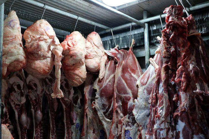 Kuyruk yağı (iç yağ) nedir, Kuyruk yağı faydaları nelerdir? G3