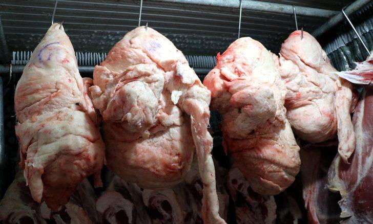 Kuyruk yağı (iç yağ) nedir, Kuyruk yağı faydaları nelerdir? G4