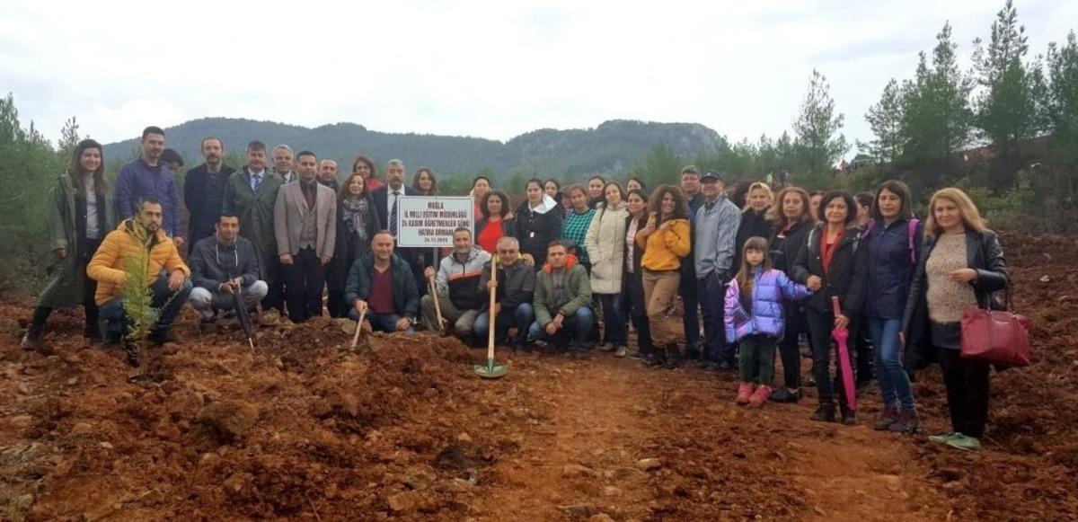 &Ouml;ğretmenler G&uuml;n&uuml; i&ccedil;in 500 &ouml;ğretmen 2 bin fidan dikti