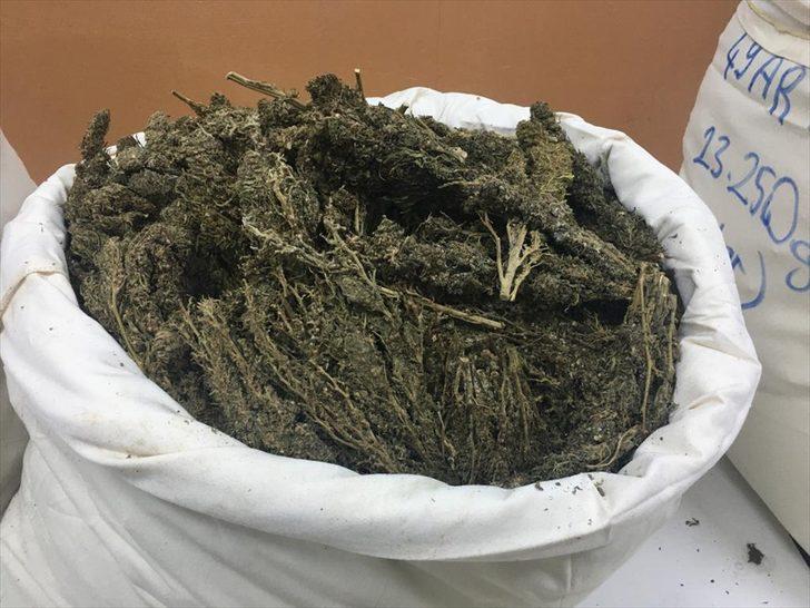 Diyarbakır'da saman çuvallarına gizlenmiş 129 kilogram esrar ele geçirildi G1
