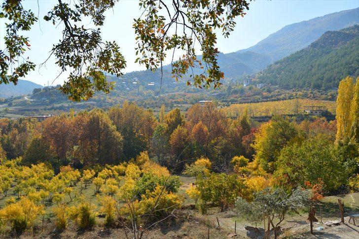 Amanos Dağları’ndaki İdilli Vadisi'nde sonbahar güzellikleri G2