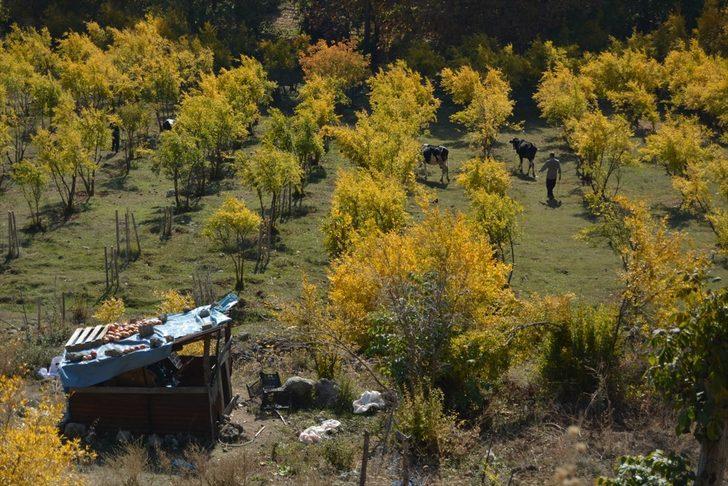 Amanos Dağları’ndaki İdilli Vadisi'nde sonbahar güzellikleri G4