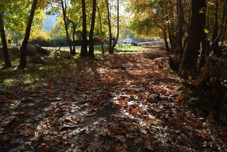 Amanos Dağları’ndaki İdilli Vadisi'nde sonbahar güzellikleri G5
