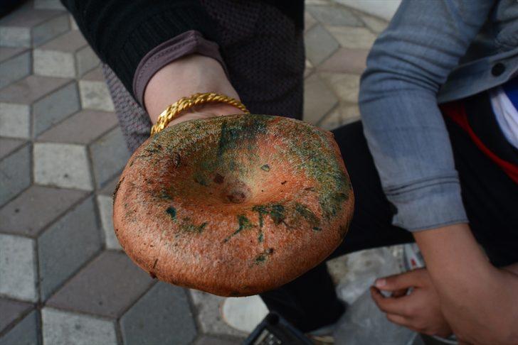 Akademisyenlerden mantar uyarısı: Bazı mantarlar sadece bir kez yenir G2