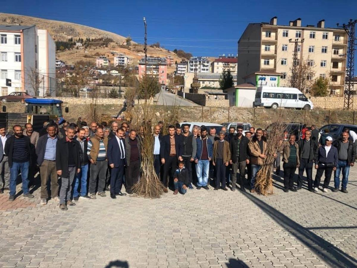 Hozat&rsquo;ta 3 bin 500 ceviz ve dut  fidanı dağıtıldı