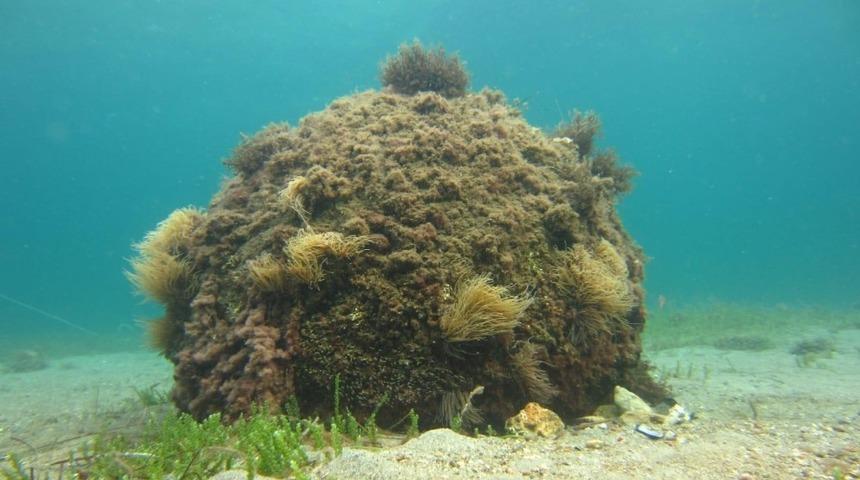 1. Dünya Savaşı’ndan kalma mühimmat imha edildi