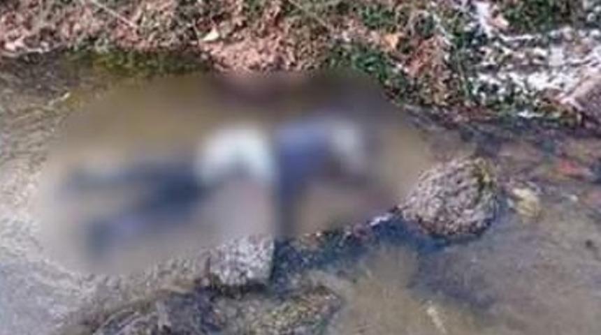 Yaz d&ouml;neminde Avrupa'da hangi &uuml;lkeler tercih edilir?