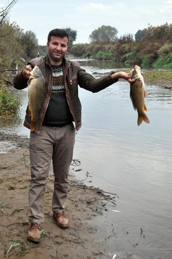 Nehirdeki ölü balıkları çuval ve kasalarla evlerine götürdüler G5