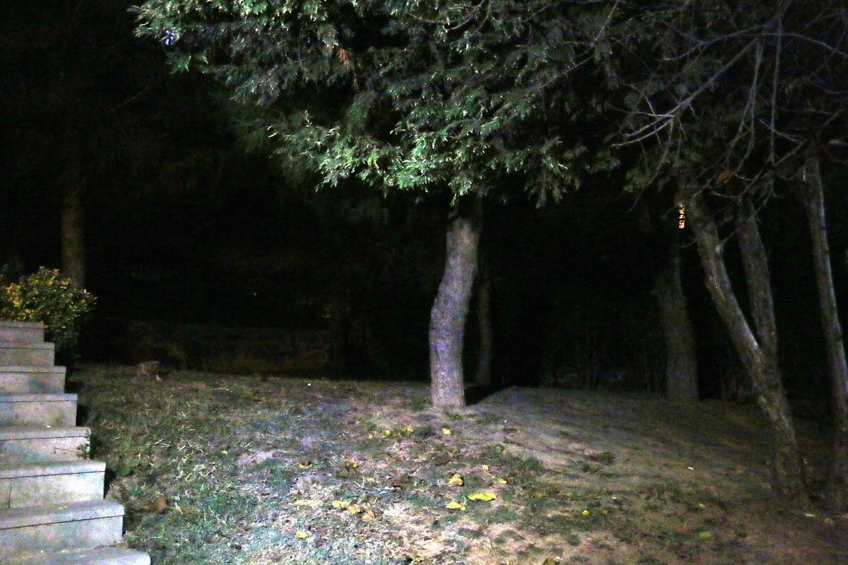 Sosyal medyada yer bildiriminde bulundu! Dehşeti yaşadı