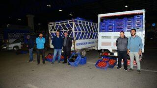 Kumluca halinde hareketlilik başladı