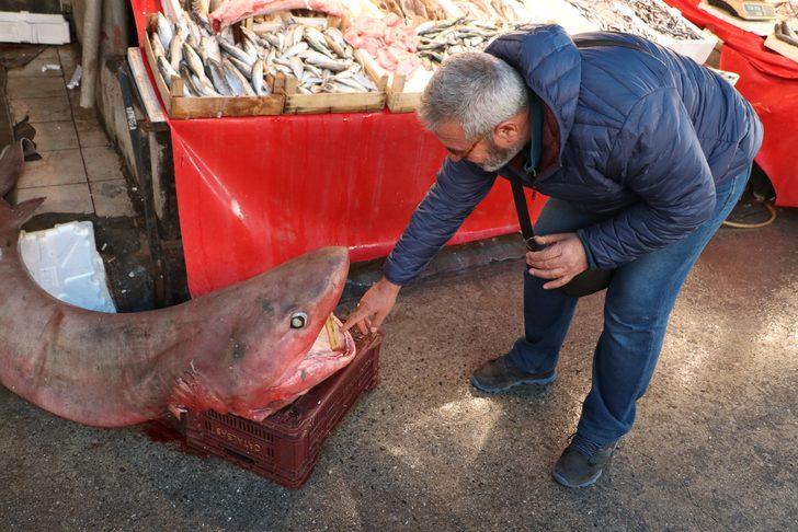 Mersin'de yakalandı! Dev köpek balığı balıkçıların ağına takıldı G4