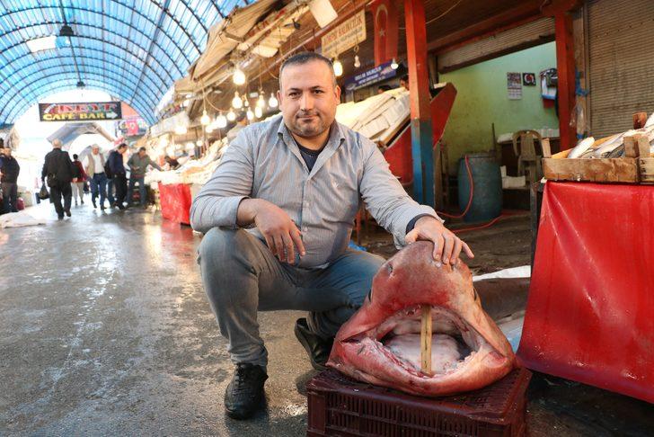 Mersin'de yakalandı! Dev köpek balığı balıkçıların ağına takıldı G5