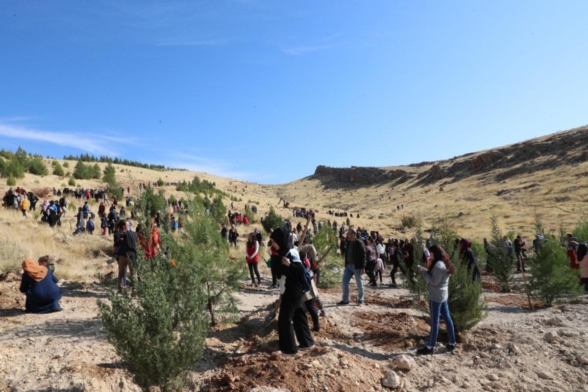 Mardin&rsquo;de Bir D&uuml;nya Kadın Hatıra Ormanı oluşturuldu