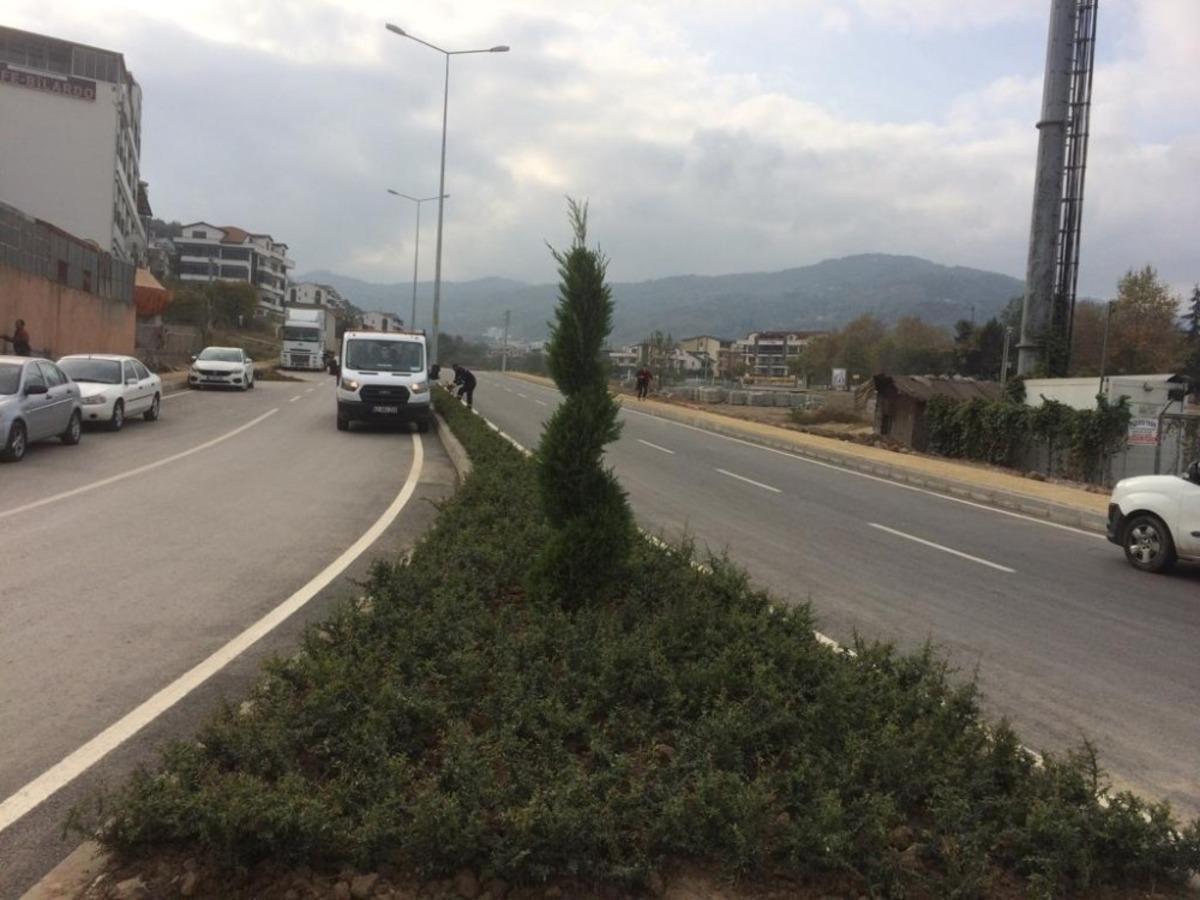 B&uuml;y&uuml;kşehir Bahriye &Uuml;&ccedil;ok Caddesi&rsquo;ni yeşillendirdi