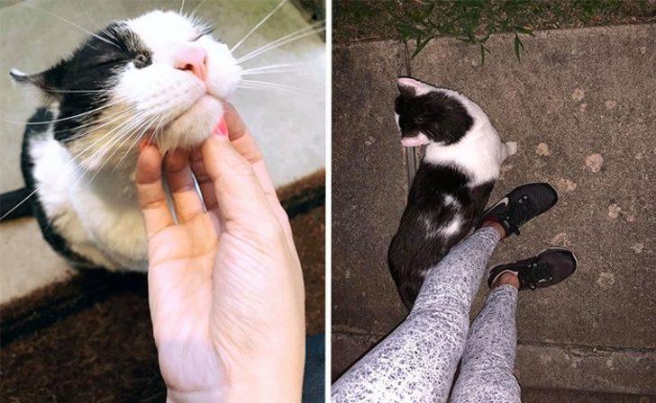 Her gece gelip aileyi izliyordu! Gerçek sonradan anlaşıldı G2