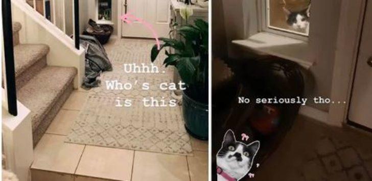 Her gece gelip aileyi izliyordu! Gerçek sonradan anlaşıldı G3