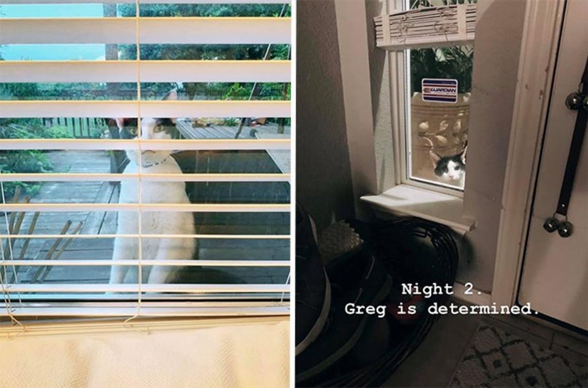 Her gece gelip aileyi izliyordu! Ger&ccedil;ek sonradan anlaşıldı