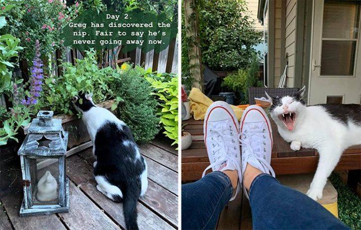 Her gece gelip aileyi izliyordu! Gerçek sonradan anlaşıldı G5