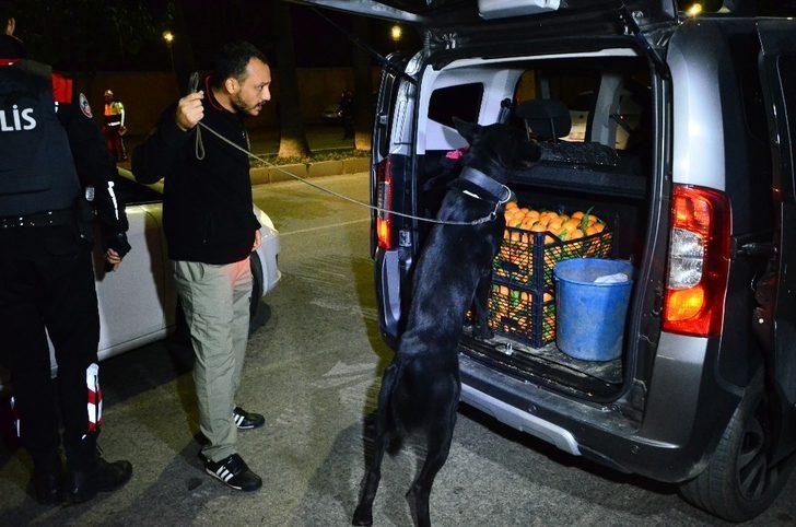 Adana'da yüzlerce polisle dev denetim G1