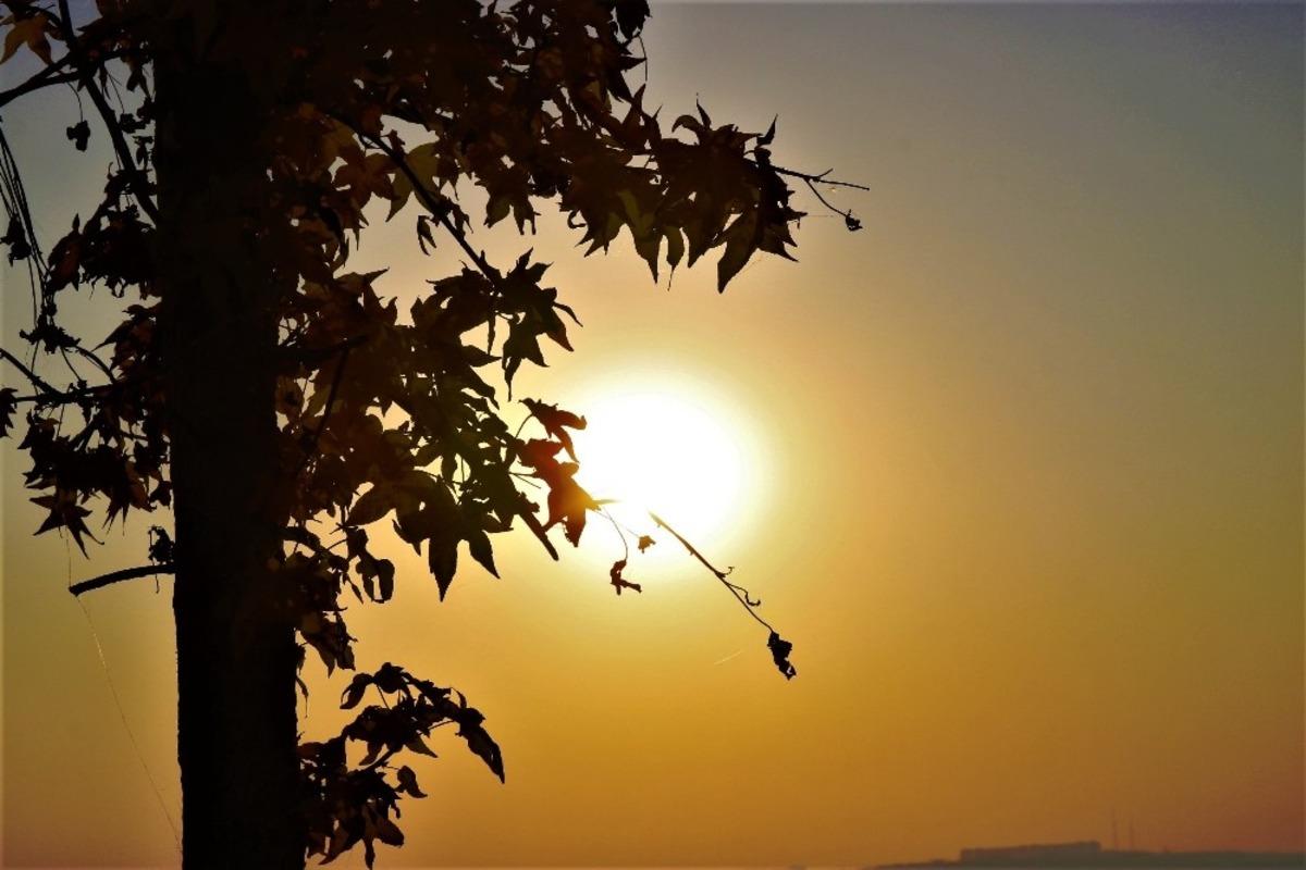 Diyarbakır&rsquo;da sonbahar g&uuml;zellikleri