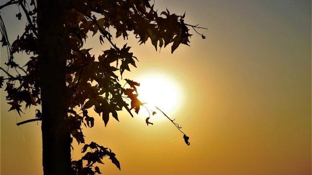 Diyarbakır’da sonbahar güzellikleri