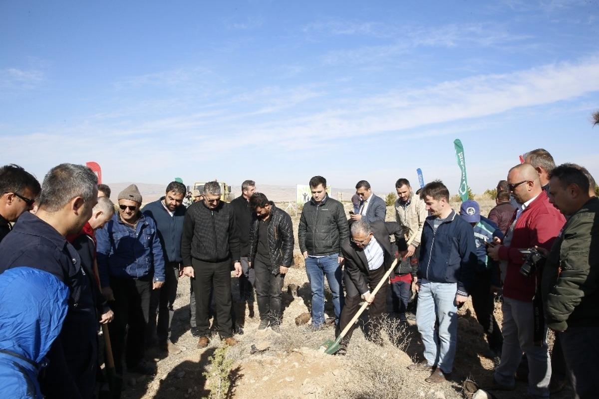 Ulaşım A.Ş.&rsquo;den 500 fidan daha