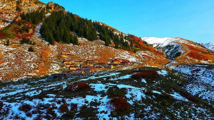 Rize'de 21 yayla evi soyuldu G1