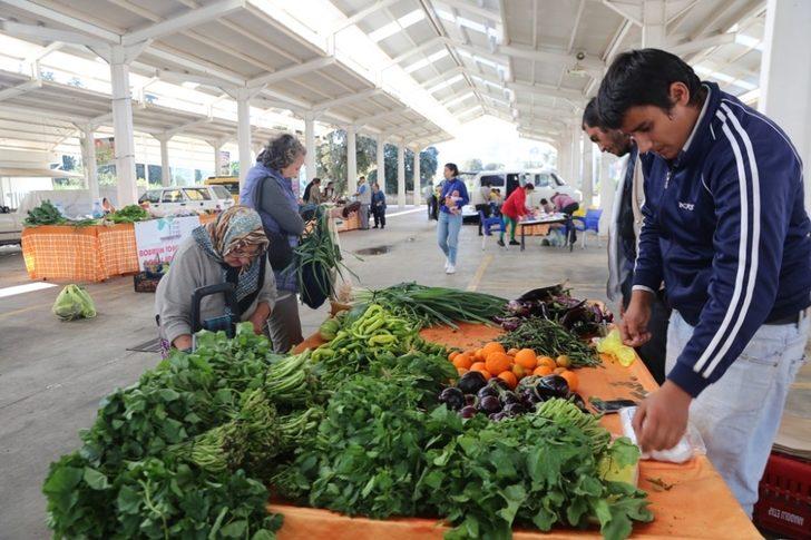 Bodrum Tohum Derneği Üretici Pazarı her Cumartesi Ortakent’te G5
