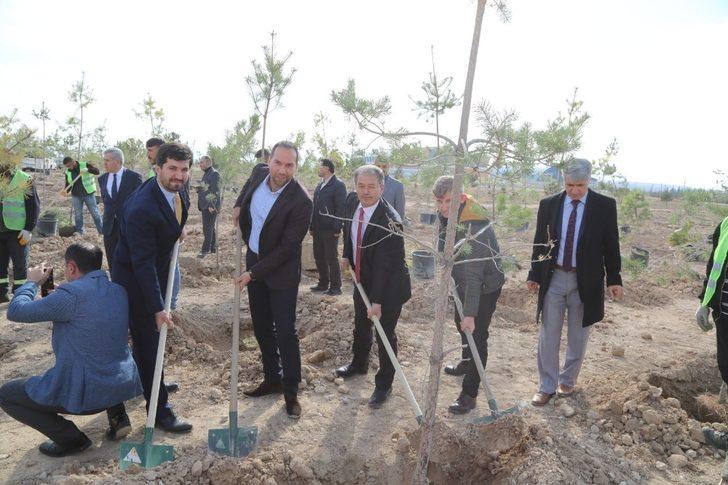 Niğde Belediyesi 2 bin 350 öğretmen için fidan dikti G2