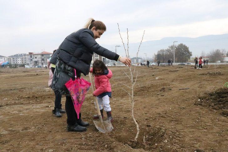 Bolu’da, “Öğretmenler Günü” hatıra ormanı oluşturuldu G4