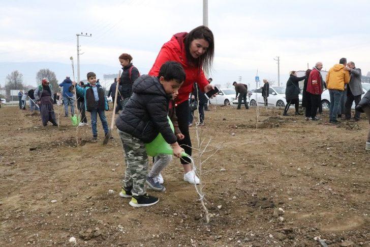 Bolu’da, “Öğretmenler Günü” hatıra ormanı oluşturuldu G5