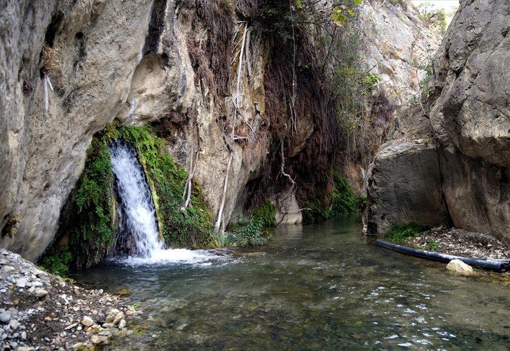 Bilecik'te kayaların içinden çıkan "sıcak su kaynağı" ilgi görüyor G3