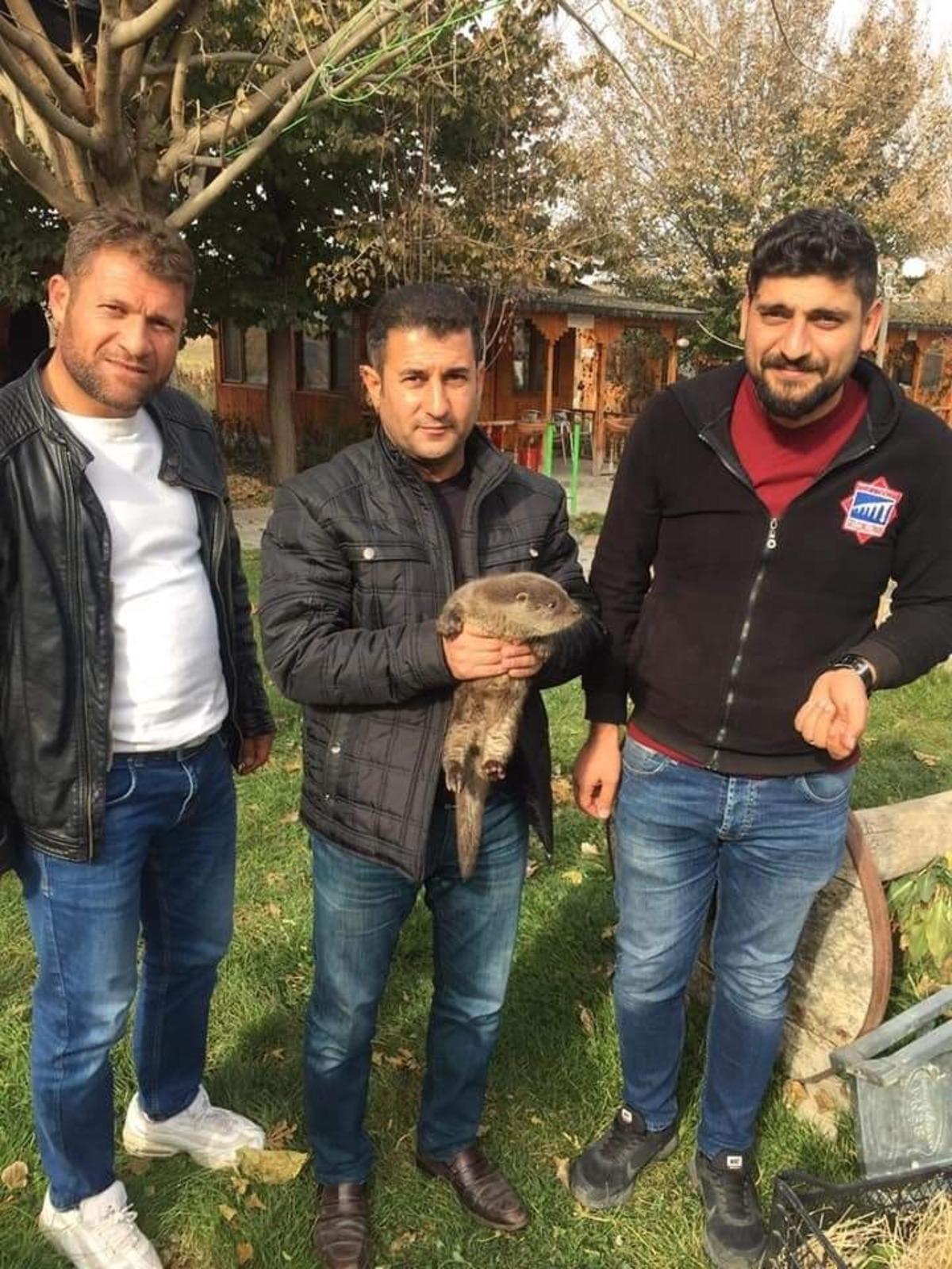 Muş&rsquo;ta vatandaşlar tarafından bulunan yavru su samuru, doğal yuvasına bırakıldı