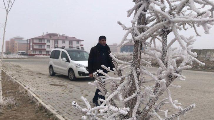 Sarıkamış'ta sıcaklık eksi 10'u gördü! Evlerde sular dondu, ağaçlar buz tuttu G3