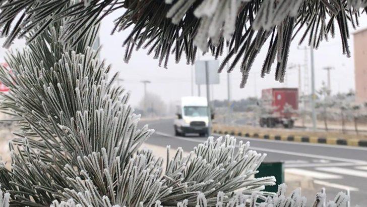 Sarıkamış'ta sıcaklık eksi 10'u gördü! Evlerde sular dondu, ağaçlar buz tuttu G4