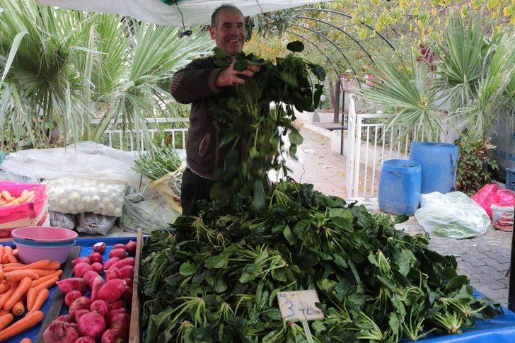 (Özel) "Ispanak değil şeytan elması zehirliyor" G3