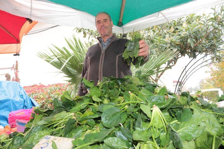 (Özel) "Ispanak değil şeytan elması zehirliyor" G4