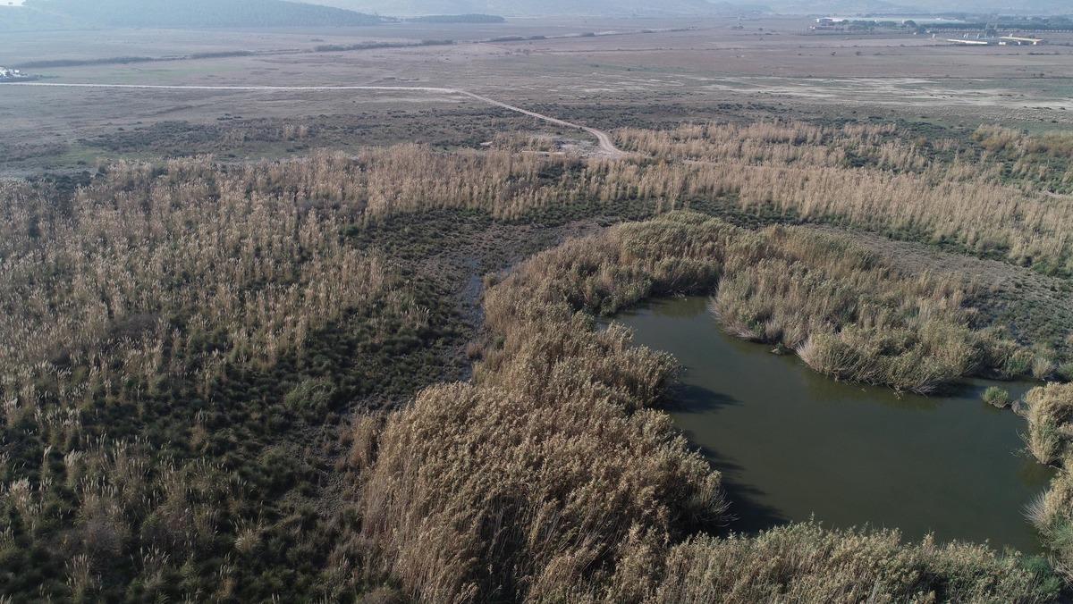 Bataklık ve sazlık b&ouml;lge, T&uuml;rkiye'nin en b&uuml;y&uuml;k jeotermal ısıtmalı serası olacak