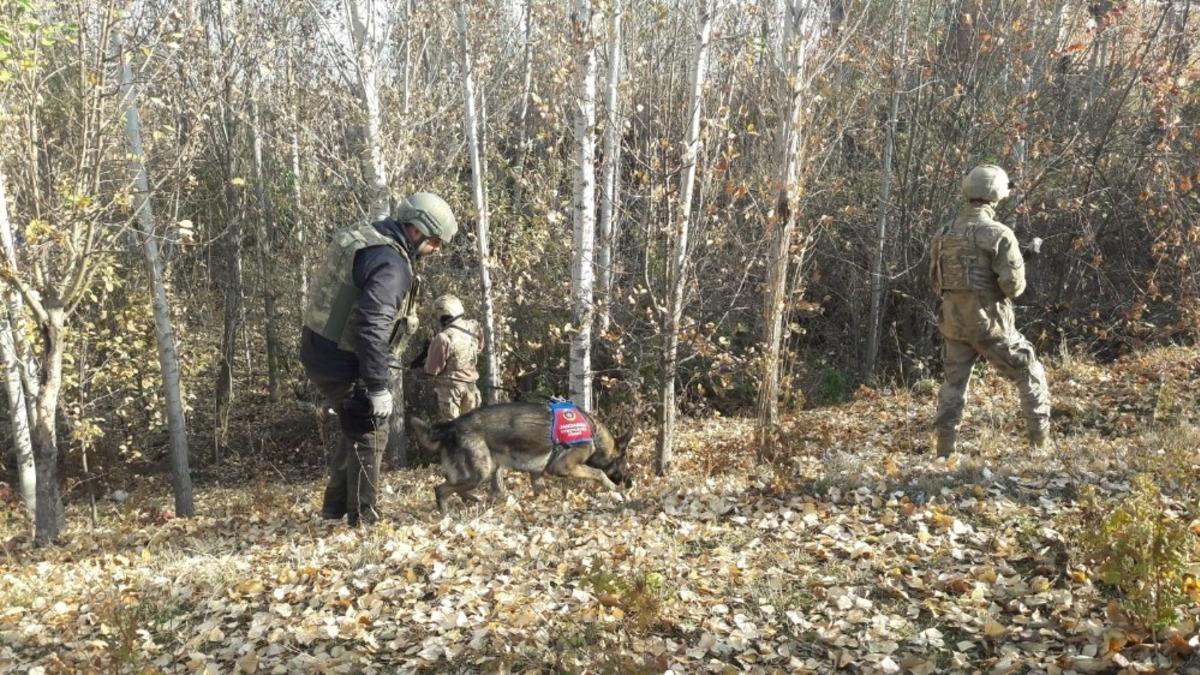 Araziye gizlenen toz esrarı narkotik k&ouml;pekleri buldu