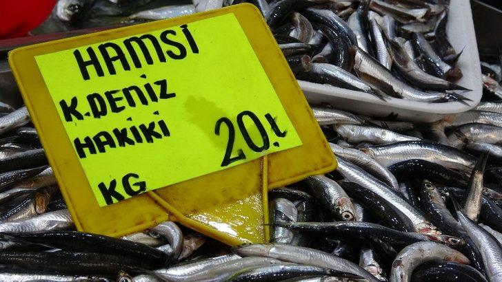 30 liraya satılan hamsinin fiyatı düşmeye başladı G1
