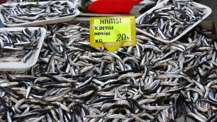 30 liraya satılan hamsinin fiyatı düşmeye başladı G5