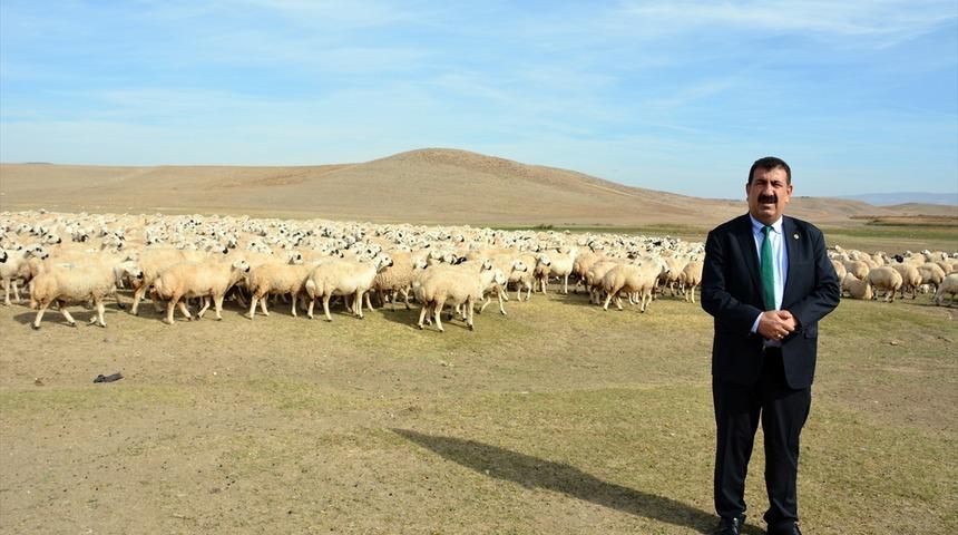 Tarım Orman Şurası küçükbaş hayvan üreticisini mutlu etti