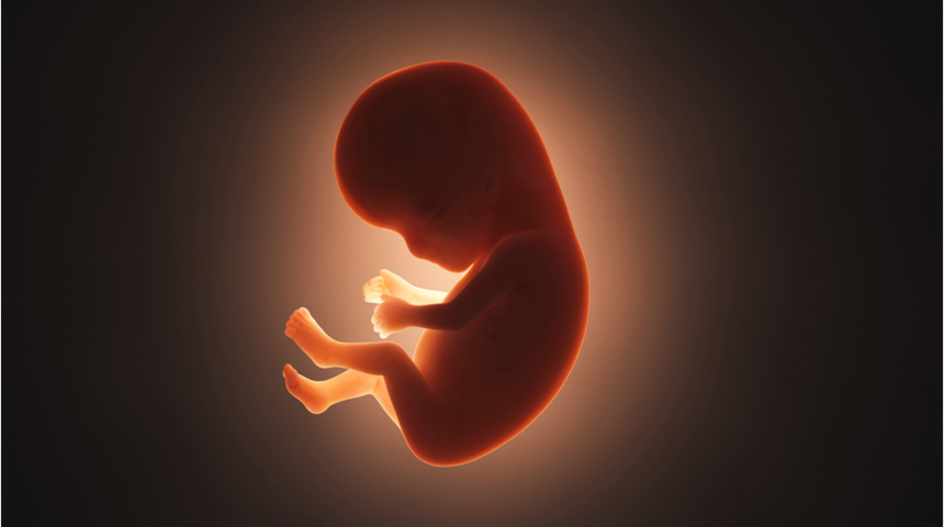 Dondurulmuş embriyo transferi son derece sağlıklı!