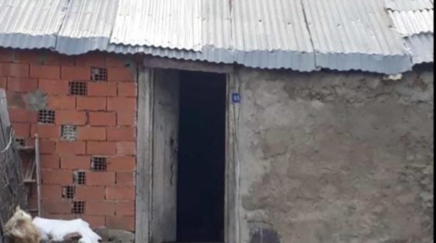 Yaylaya giden vatandaşlar şok yaşadı