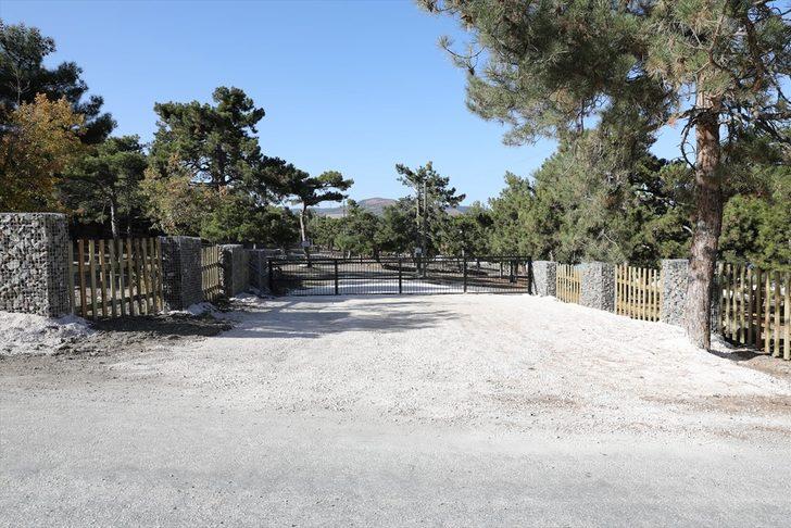 Salda Gölü Tabiat Parkı alanı 570 dekara çıkarıldı G4